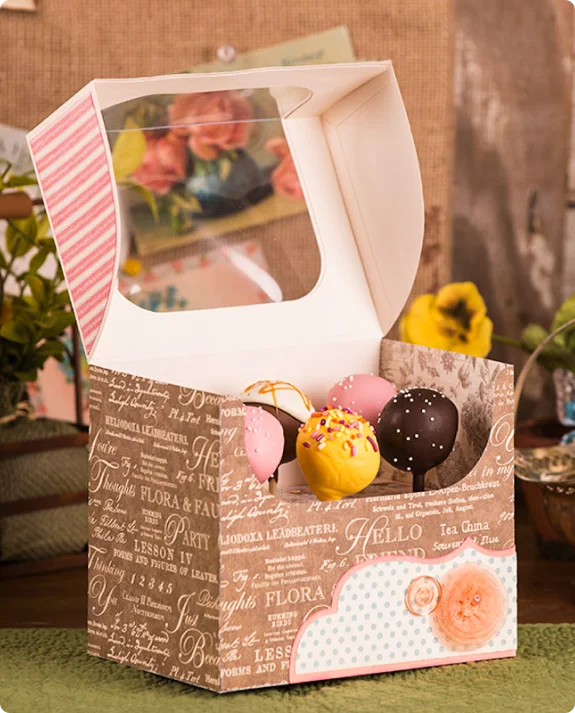 1-cake-pop-boxes-with-window