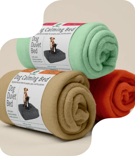 2-belly-band-packaging