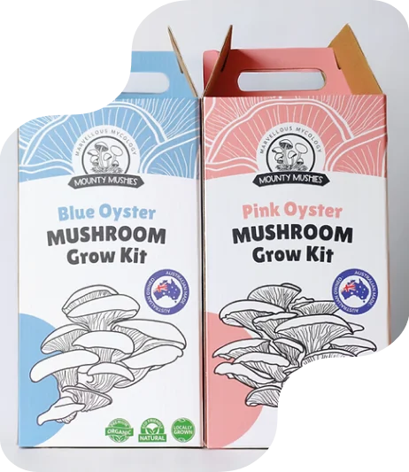 2-mushroom-growing-kit-boxes