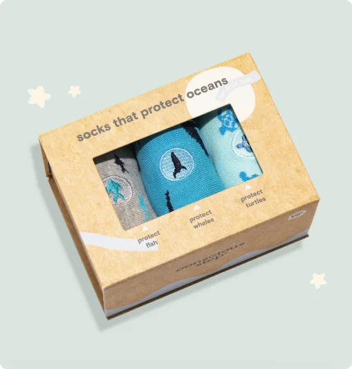 3-socks-boxes-with-window