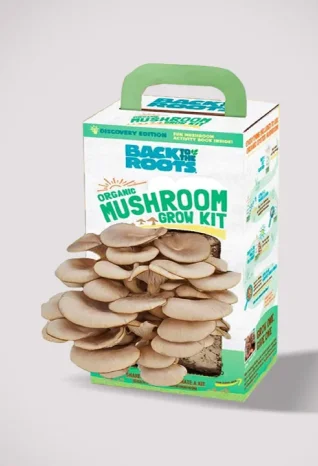 4-mushroom-growing-kit-boxes