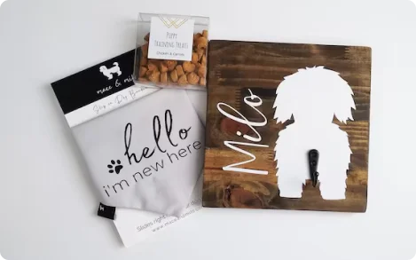 6-dog-bandana-boxes_1729589783