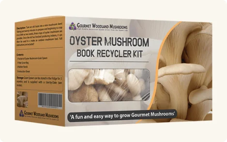6-mushroom-growing-kit-boxes