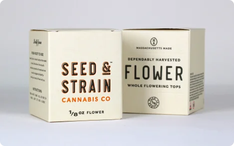 6-seed-boxes-wholesale