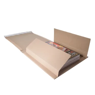 Book-Mailer-3_1729342966