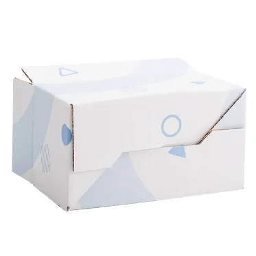 Regular-Slotted-Container-Auto-Bottom-3_1729342967