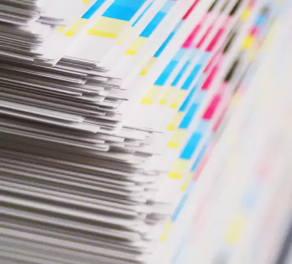 sbs-paperboard-material_1728977420