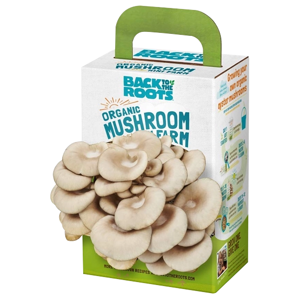 Mushroom Growing Kit Boxes